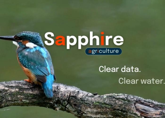 Still image of Sapphire video with blue bird and Sapphire title "Clear date, clear water"