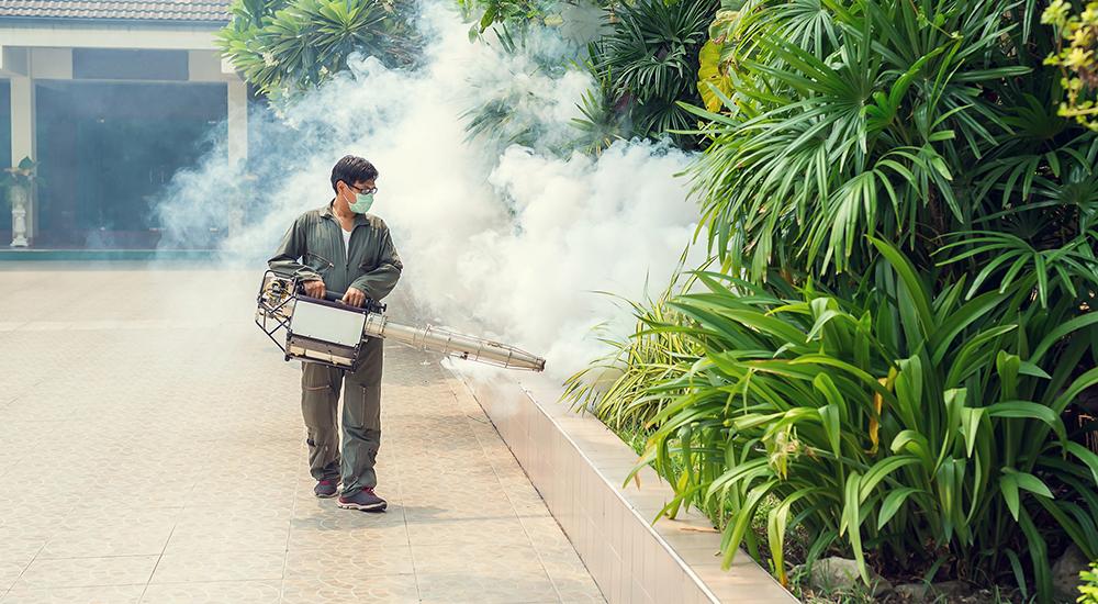 Fogging to eliminate mosquitos