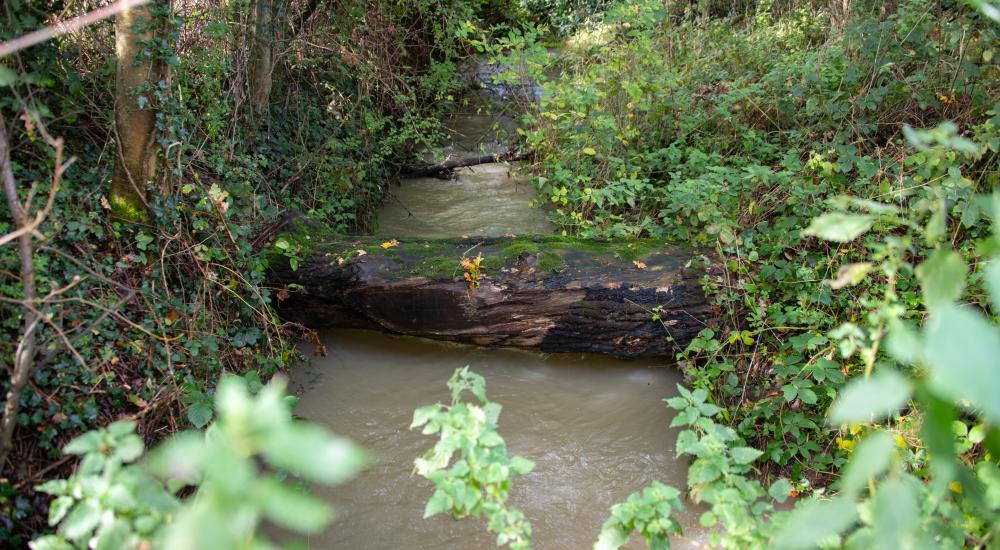 Costwolds Natural Flood Management (NFM) Littlestock Brooks