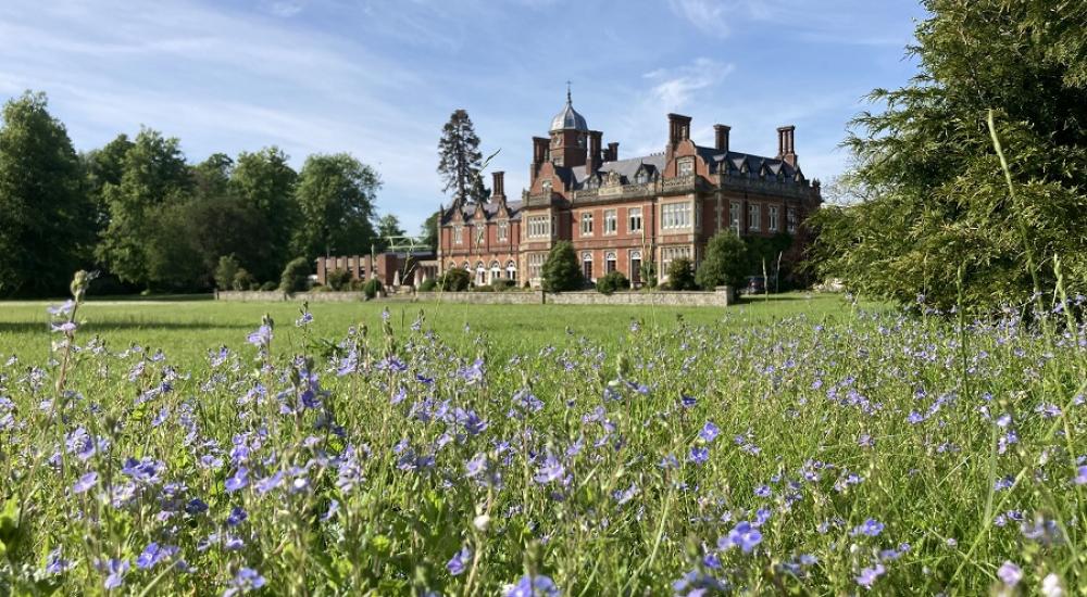 View of the Manor House at Howbery Park behind wild flowers