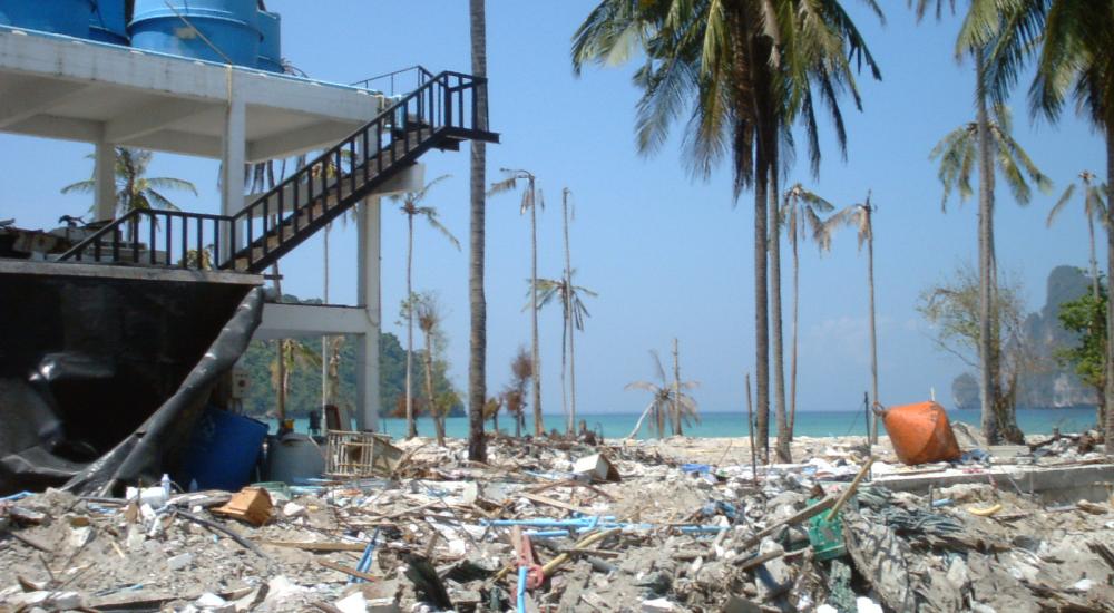 View of a beach after tsunami with debris