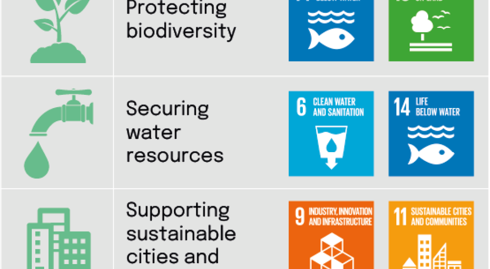 How nature-based solutions support the UN Sustainable Development goals
