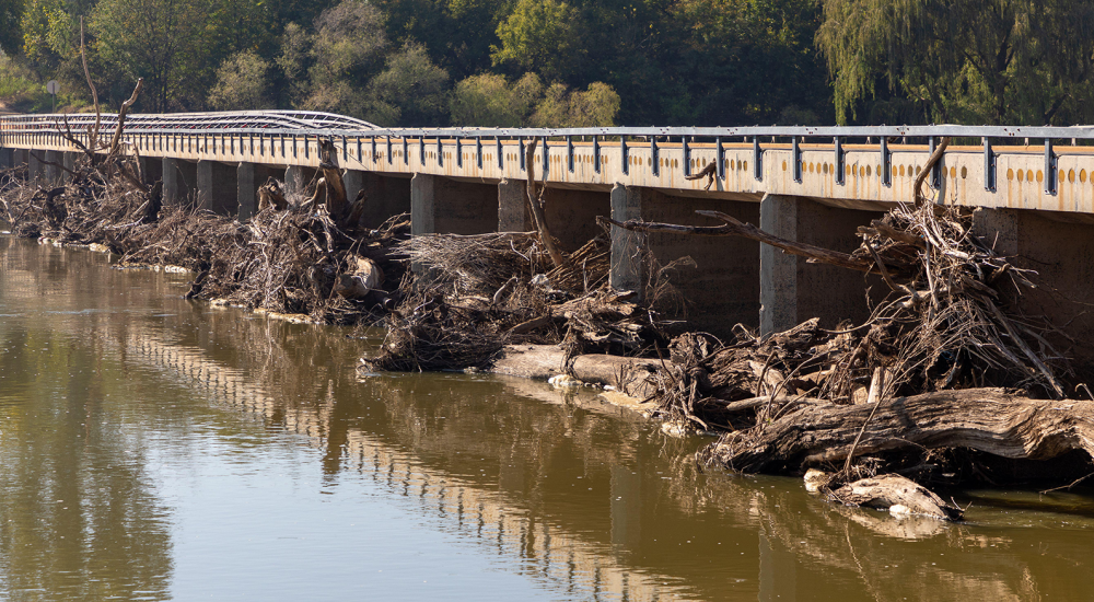 View of flood debris in river in South Africa