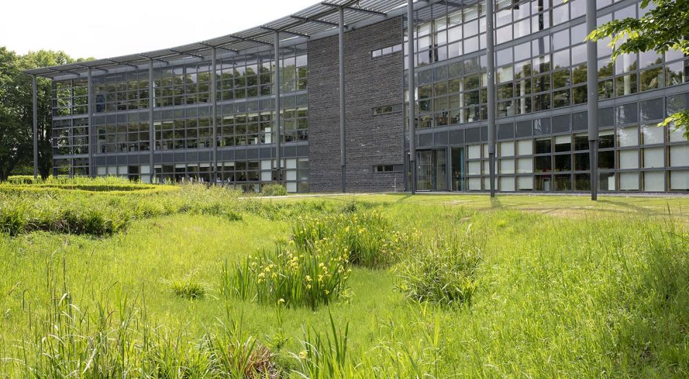 SuDS feature in front of building in Howbery Park