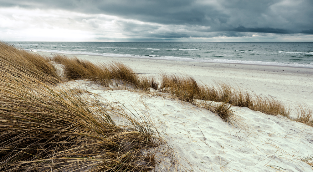 View of sand dune with grass