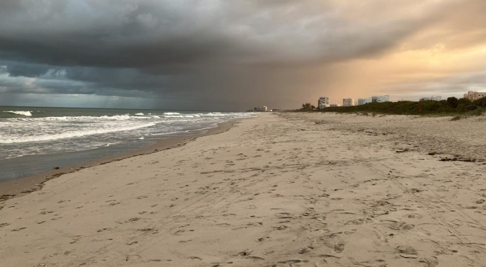 picture of white sandy Avalon beach
