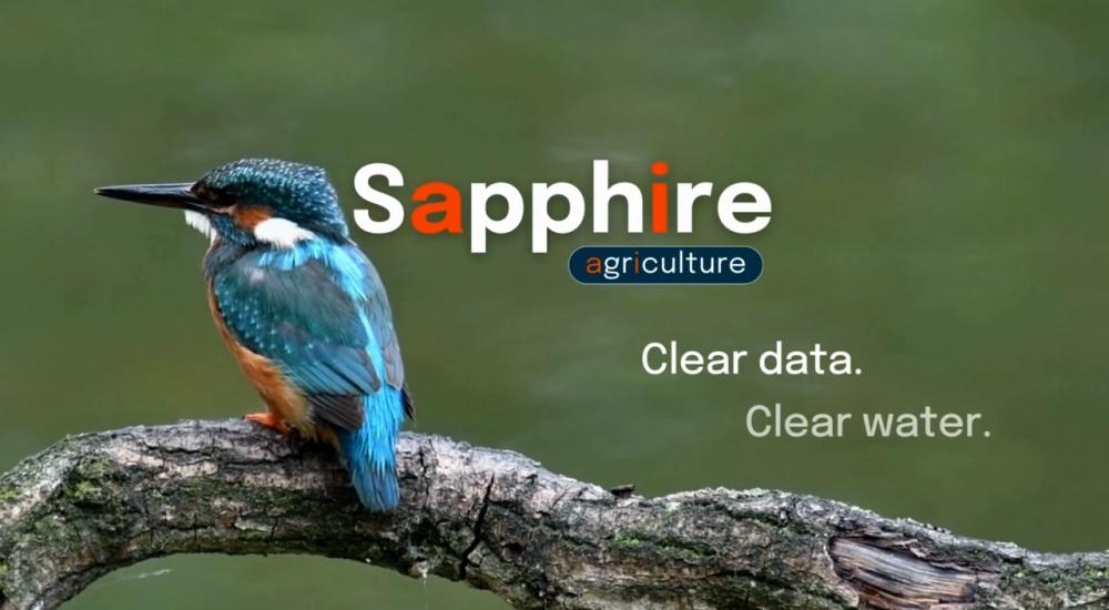 Still image of Sapphire video with blue bird and Sapphire title "Clear date, clear water"
