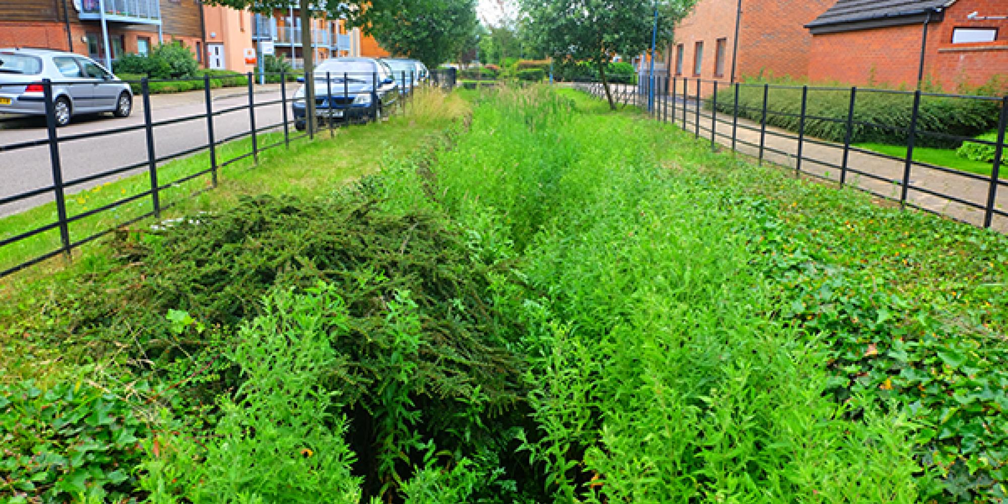 Sustainable drainage swale SuDS