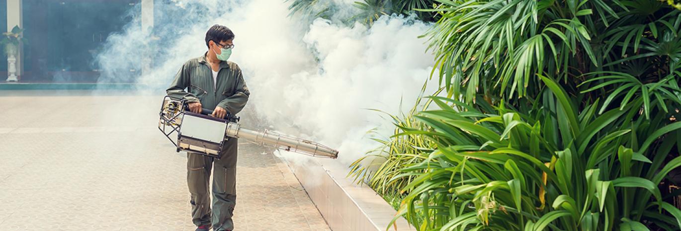 Fogging to eliminate mosquitos