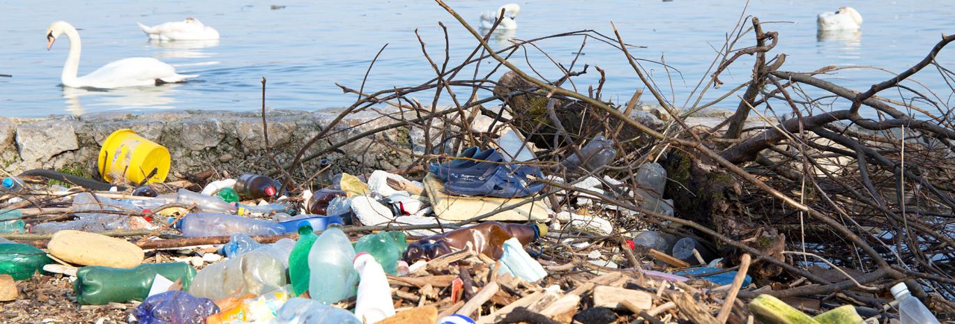 Plastic waste with swans in background