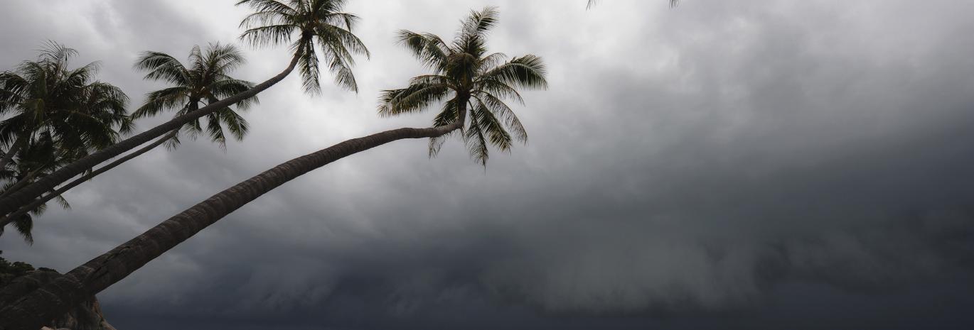 View of a tropical storm on a beach with palm trees