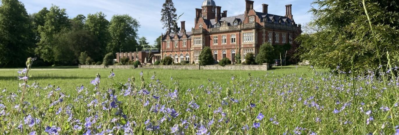 View of the Manor House at Howbery Park behind wild flowers