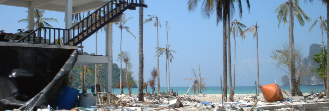 View of a beach after tsunami with debris