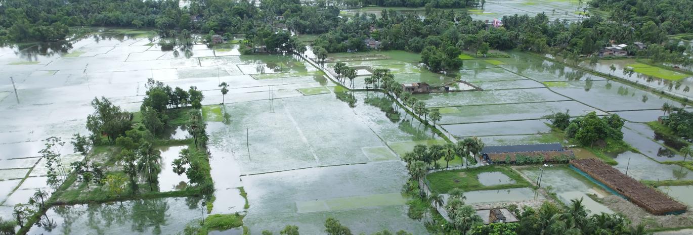 Flooded fields in west bengal
