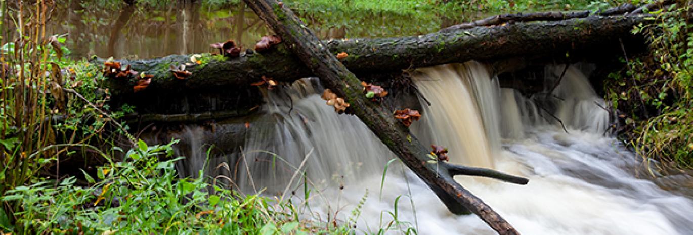 Close up view of leaky dam