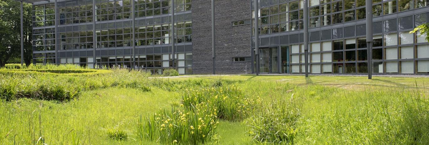 SuDS feature in front of building in Howbery Park