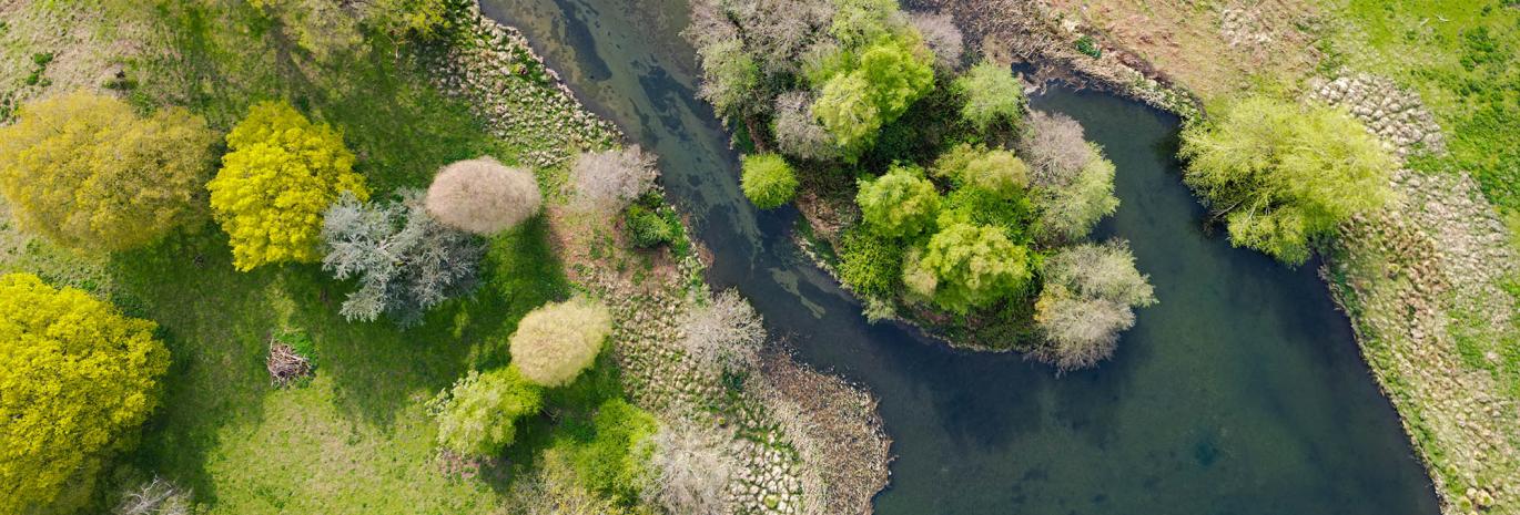 Aerial view of a meandering river