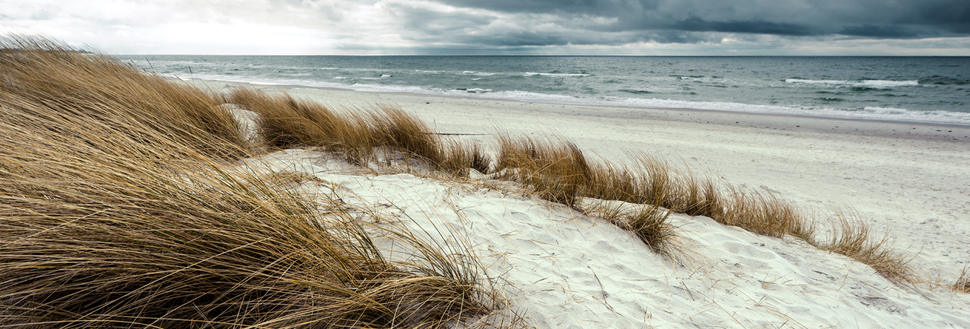 View of sand dune with grass