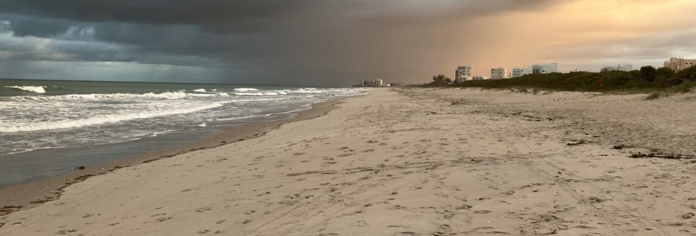 picture of white sandy Avalon beach