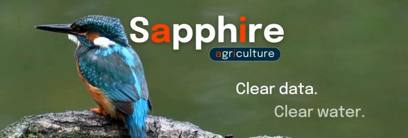 Still image of Sapphire video with blue bird and Sapphire title "Clear date, clear water"